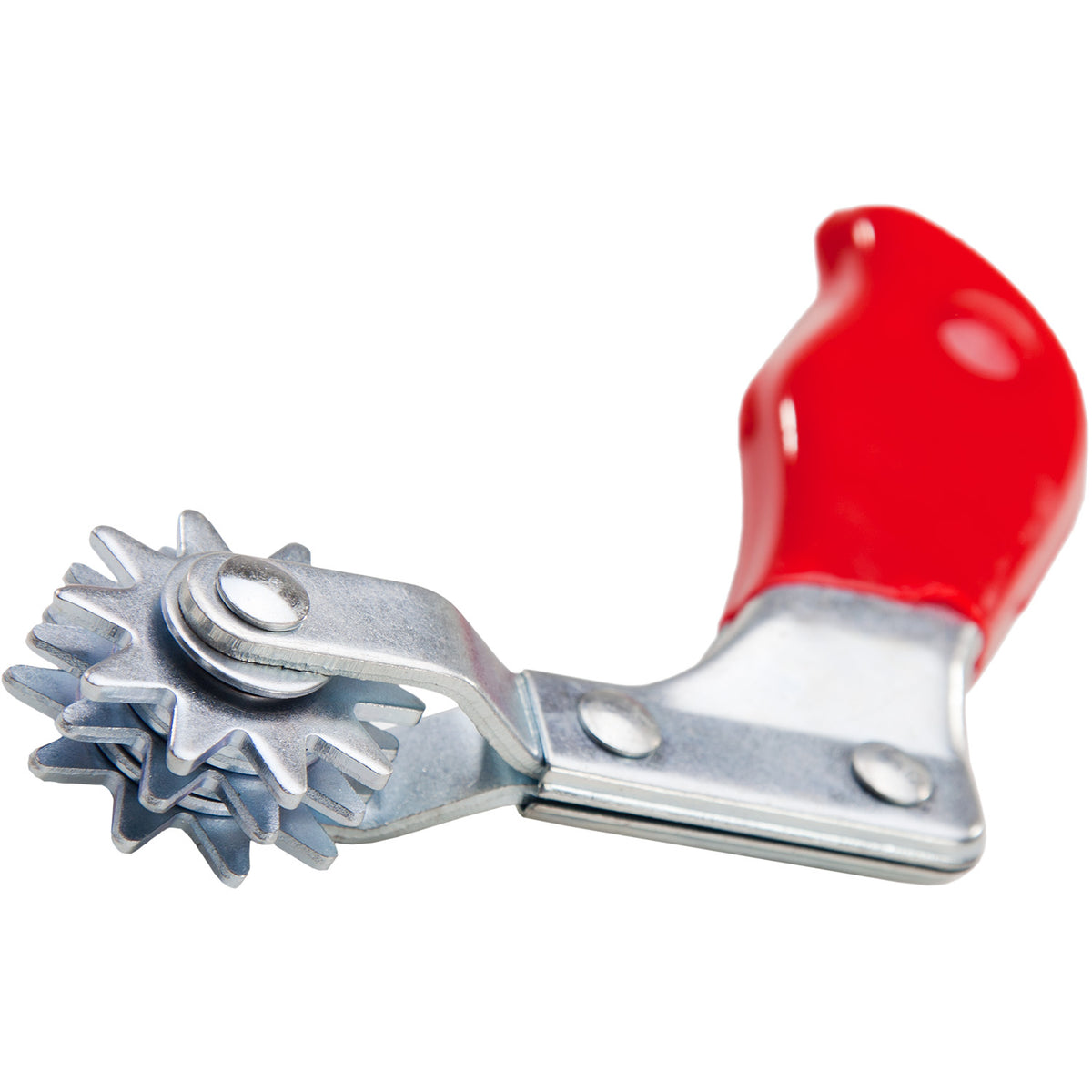 Pad Spur Cleaning Tool, The Polishing School, California
